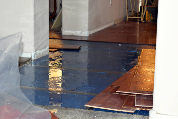 Professional Flood Damage Repair technician working in Gause, TX